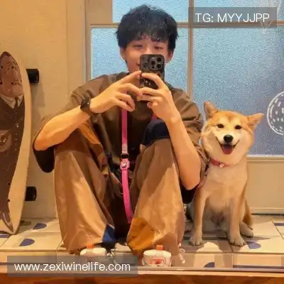 沈辉
